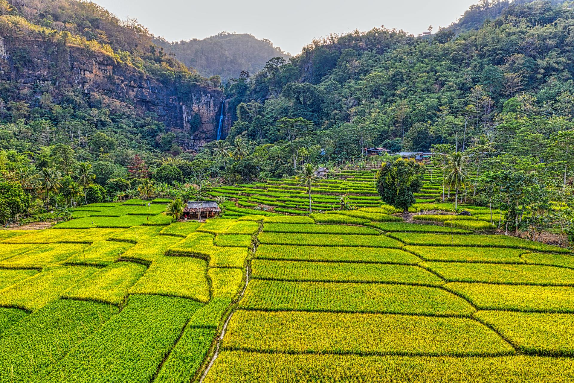 smart agriculture