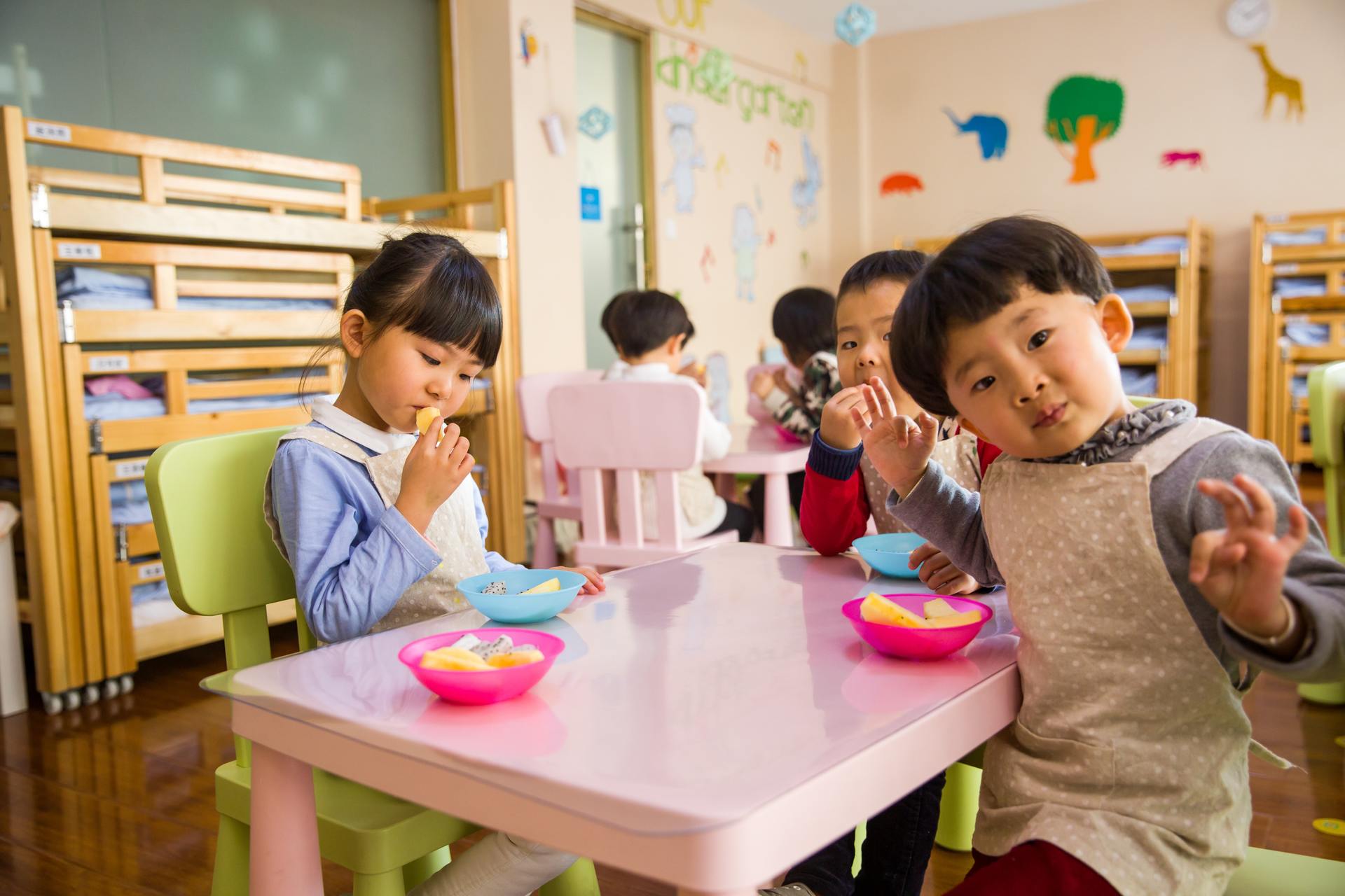 安徽自考本科和函授本科的区别（含金量、办学主体、报考条件等）