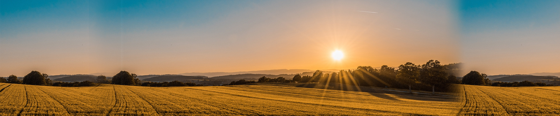 pexels-cottonbro-3944377