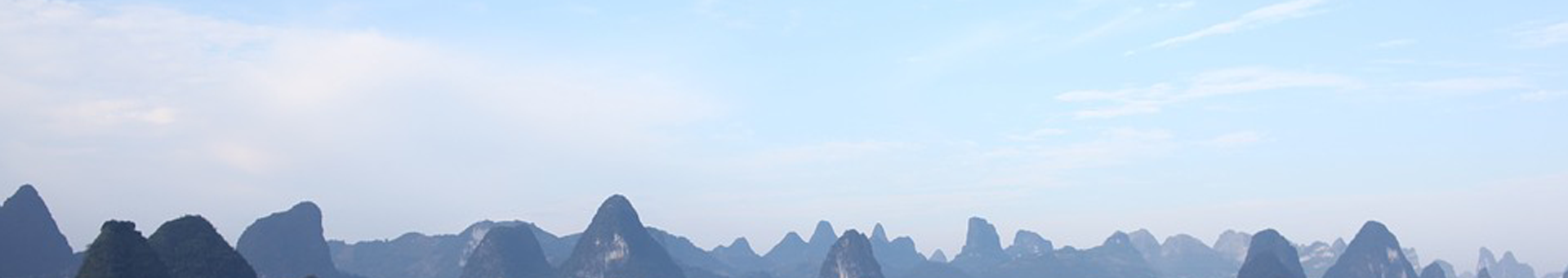 描述