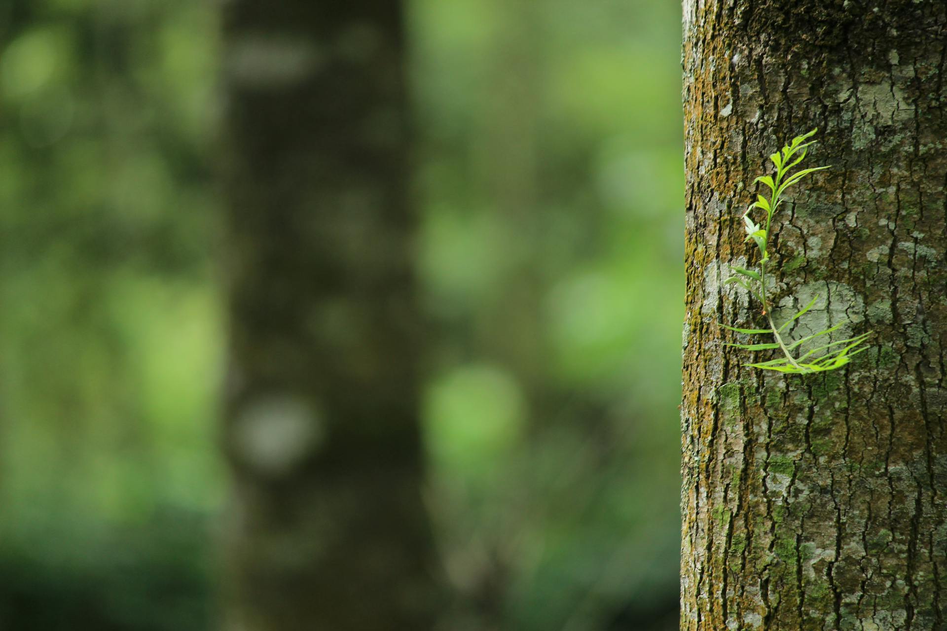 Committed to green development and sustainability
Create greater value for our clients and society